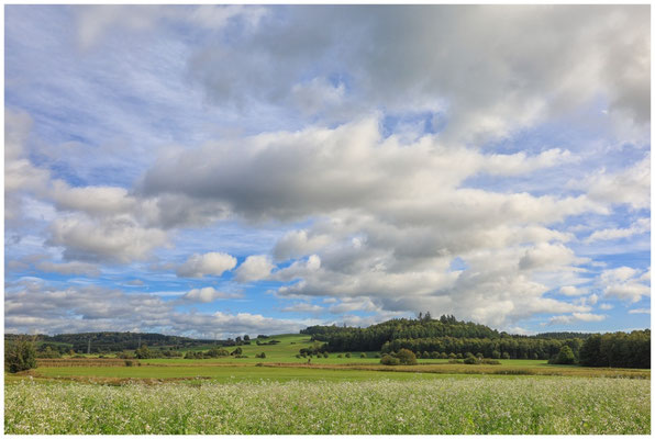 Riedlandschaft 7326