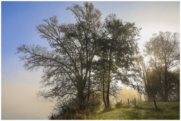 Uferlandschaft Schwackenreuter Seen 8830