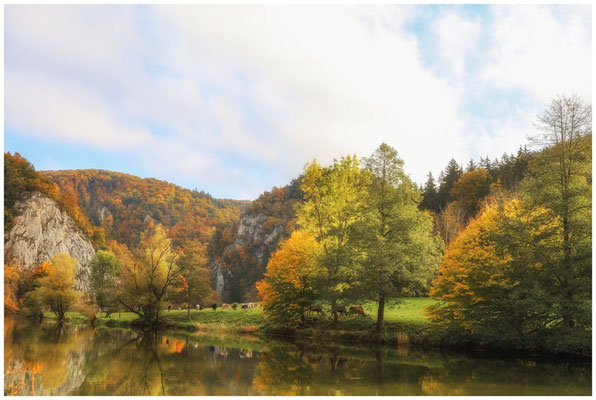 Herbstliche Farben an der Donau 8172
