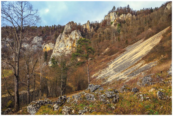 Kalksteinfelsen im Naturpark Obere Donau 0408