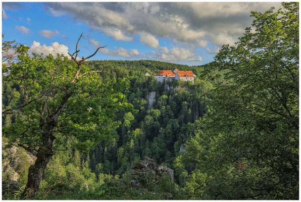 Burg Wildenstein 7788