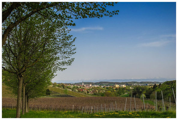 Blick auf Markdorf mit Alpenkette 3513