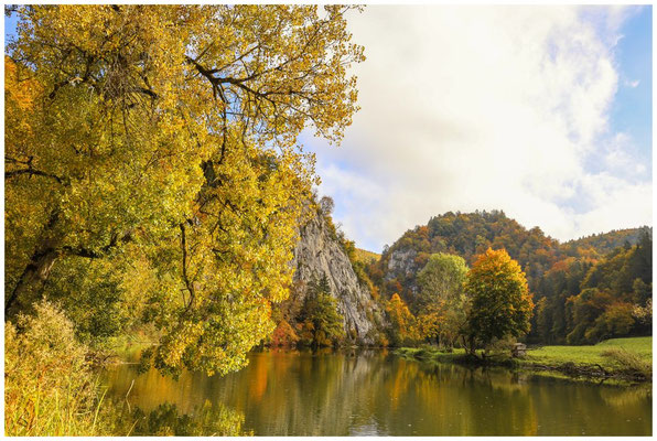 Herbstliche Farben an der Donau 8178
