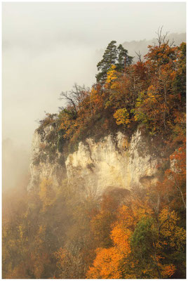 Nebel, buntes Laub und Felsen 8585