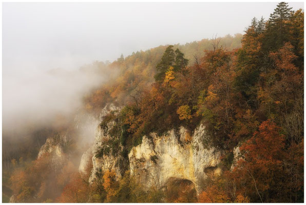 Nebel, buntes Laub und Felsen 8579