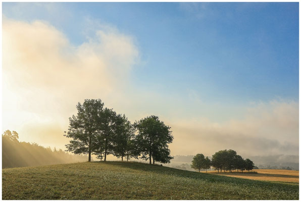 Sommermorgen mit Nebelresten über dem Hegau 0547
