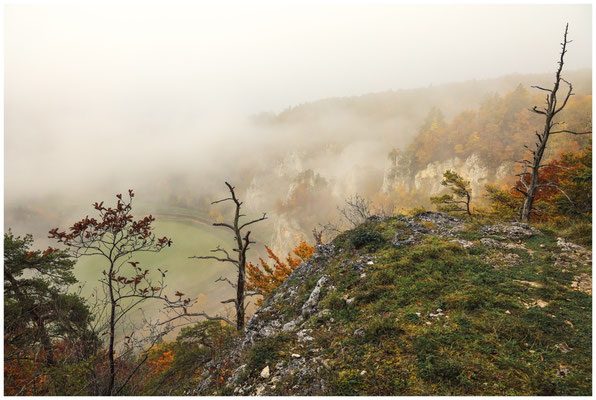 Blick auf die Donau vom Stiegelesfelsen 8566