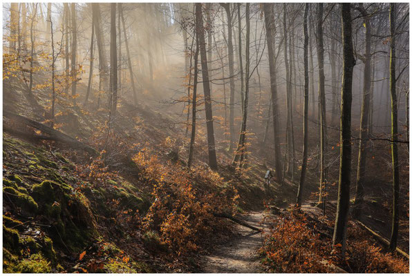 "Kreuzweg" bei Bodman 9817