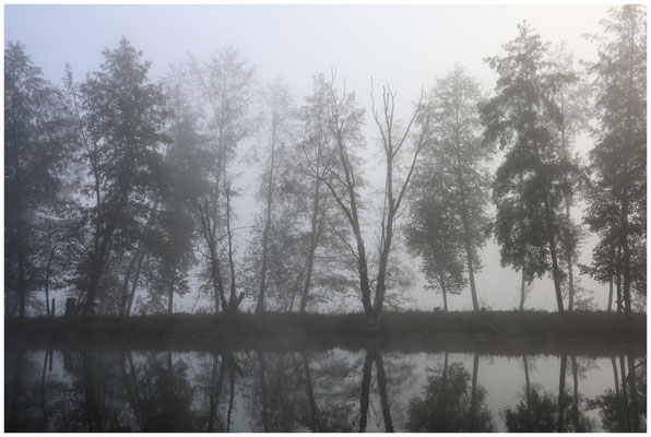 Uferlandschaft Schwackenreuter Seen 8733
