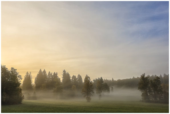 Nebelstimmung im Irndorfer Hardt 7846