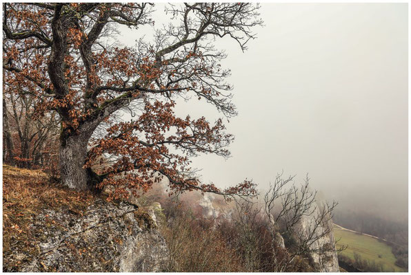 Blick vom Aussichtspunkt Burgstall ins Donautal 0303