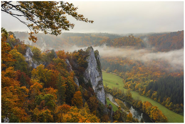 Stiegelesfelsen und Donau mit letztem Nebel 8643