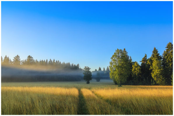 Wanderweg durch das Irndorfer Hardt 7332