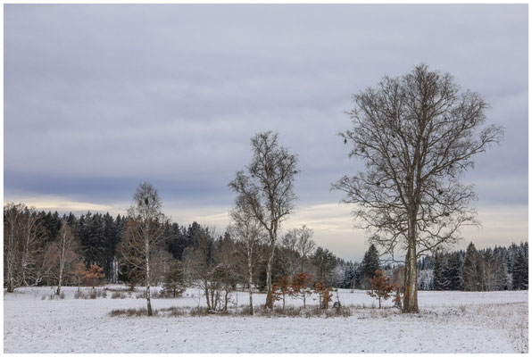 Landschaft im Irndorfer Hardt 5388