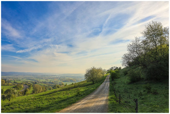 Wanderweg beim Hohentwiel 0226