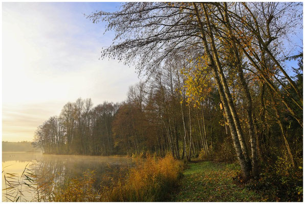 Uferweg bei den Schwackenreuter Seen 9130