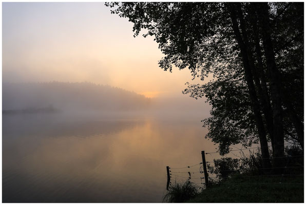 Morgendämmerung Schwackenreuter Seen 8684