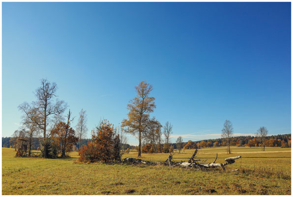 Herbst im Irndorfer Hardt 9420