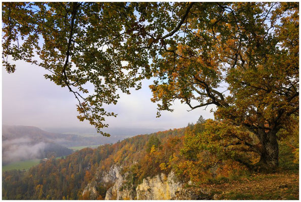 Aussichtspunkt Burgstall oberhalb von Fridingen 8648