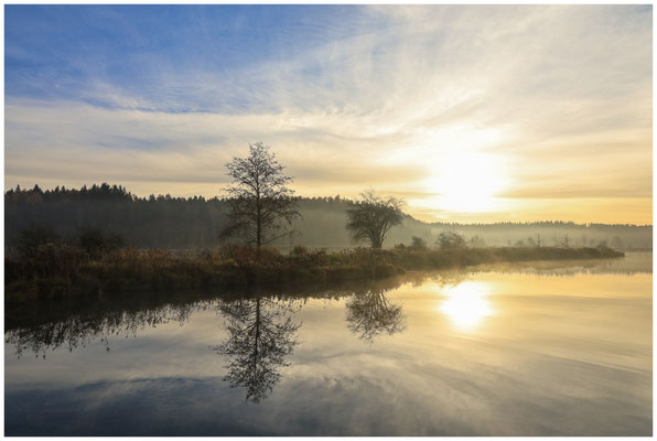 Uferlandschaft Schwackenreuter Seen am Morgen 9120