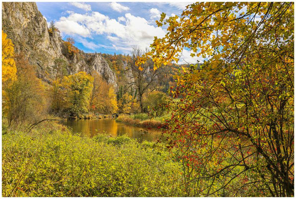 Herbst im Donaudurchbruchstal bei Fridingen 8537