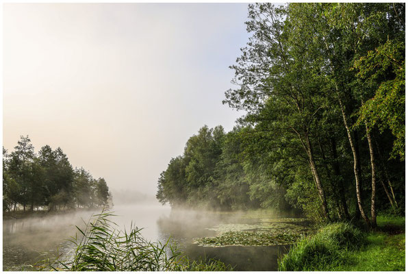 Uferlandschaft Schwackenreuter Seen 6964