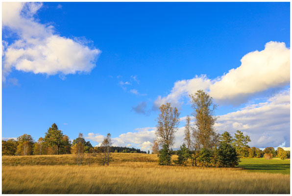 Landschaft im Irndorfer Hardt  8272