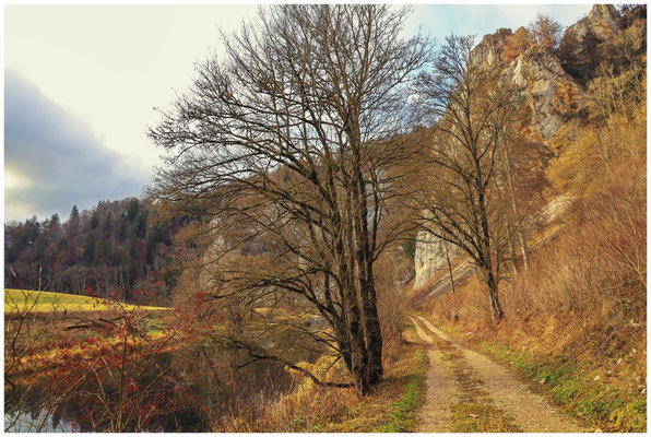 Wanderweg entlang der Donau 0394