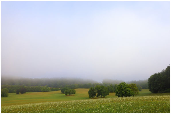 Sommerliche Landschaft beim Hofgut Dauenberg 0521