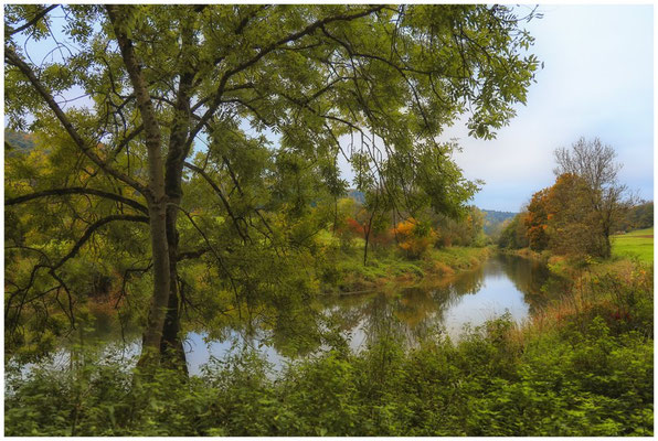 Die Donau bei Fridingen 8053