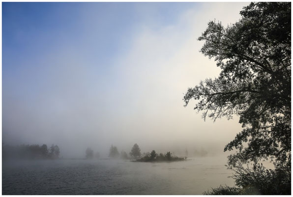 Uferlandschaft Schwackenreuter Seen 6911