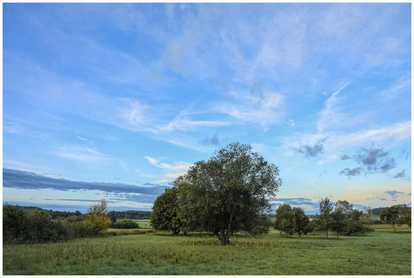 Morgendämmerung im Heudorfer Ried 7226