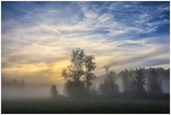 Morgendämmerung im Irndorfer Hardt 7779