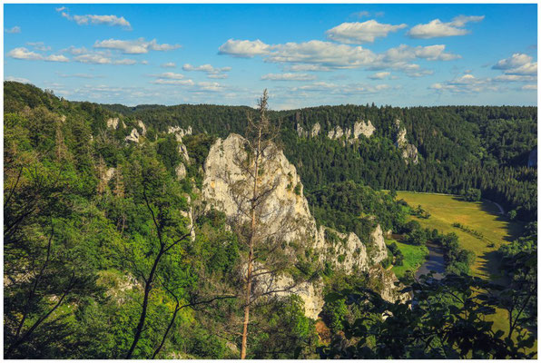 Blick auf den Stiegelesfelsen und die Donau 7947