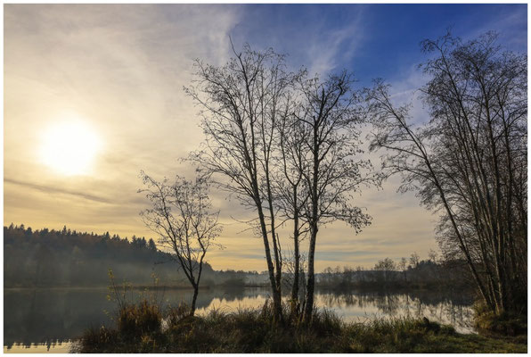 Uferlandschaft Schwackenreuter Seen 9237