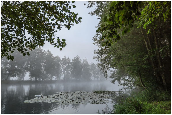 Nebel über den Schwackenreuter Seen 6827