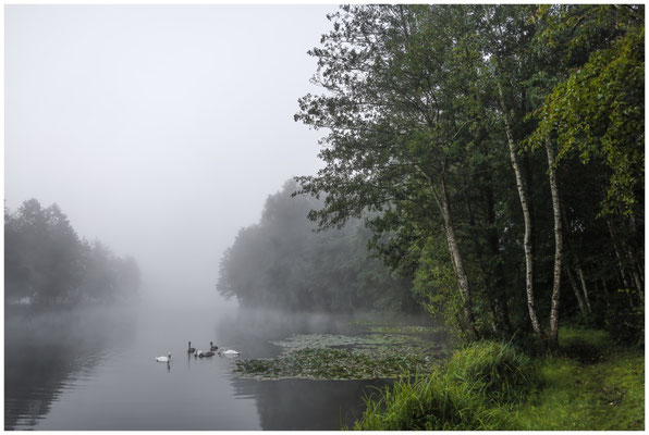 Morgendlicher Nebel über den Schwackenreuter Seen 6794