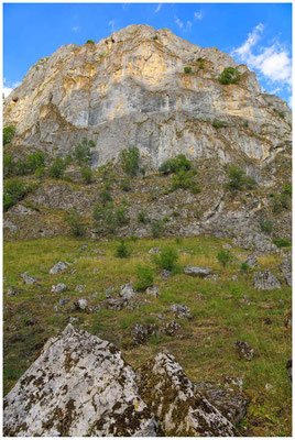 Jurakalksteinfelsen im Naturpark Obere Donau 5967