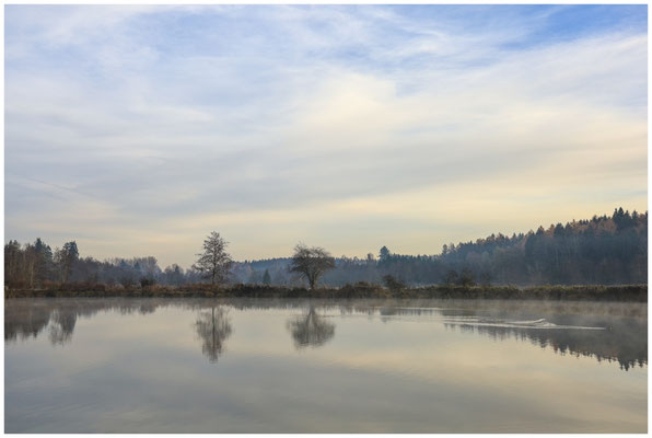 Uferlandschaft Schwackenreuter Seen 9112
