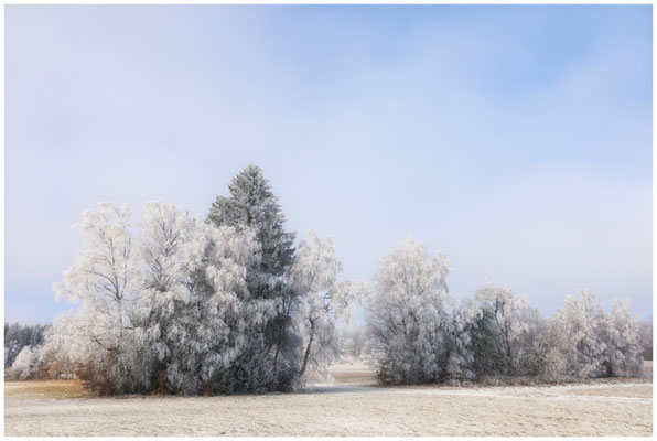 Winterlandschaft Irndorfer Hardt 9506