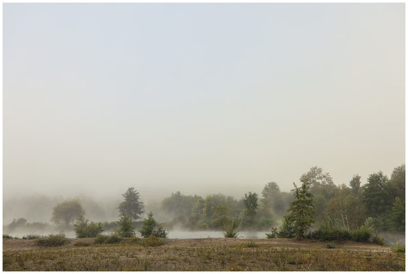 Uferlandschaft Schwackenreuter Seen 7012