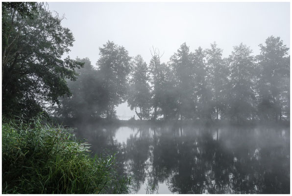 Nebel über den Schwackenreuter Seen 6820