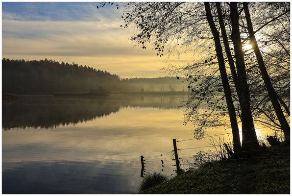 Uferlandschaft Schwackenreuter Seen im Morgenlicht 9126