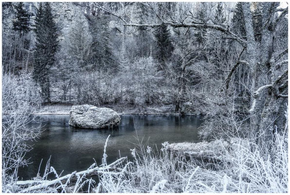 Die Donau bei Fridingen mit Raureif 0724