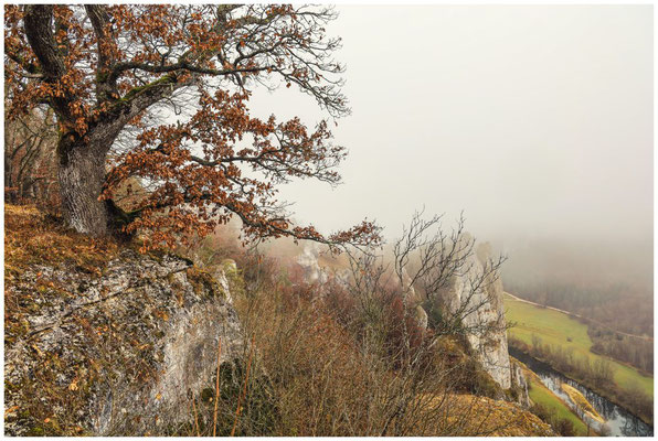 Blick vom Aussichtspunkt Burgstall ins Donautal 0304