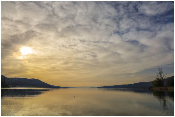 Bodensee bei Bodman-Ludwigshafen 0082