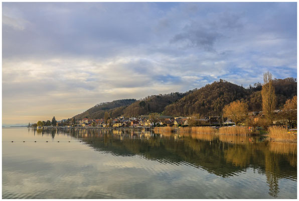 Uferlandschaft bei Bodman mit Ruine Altbodman 0027