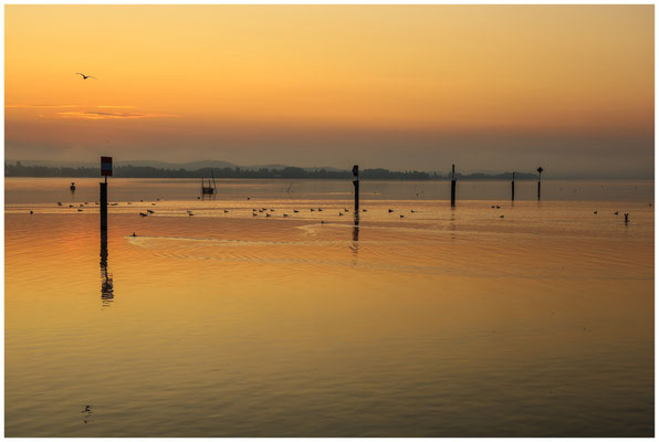 Morgendämmerung über dem Zeller See 0518