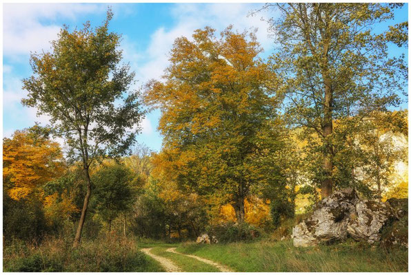 Wanderweg entlang der Donau 8204