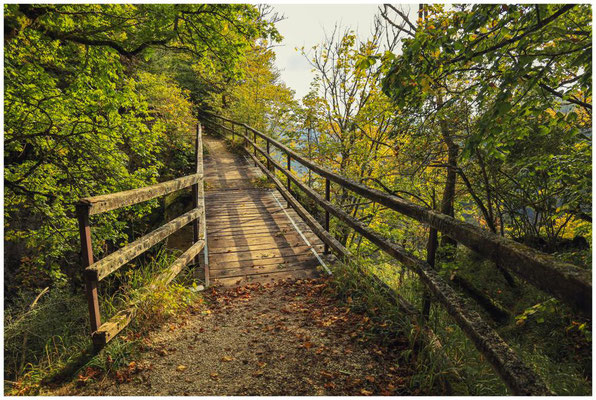 Holzbrücke zur Burgruine Hausen 8668